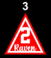 Memorial Pins - Raven