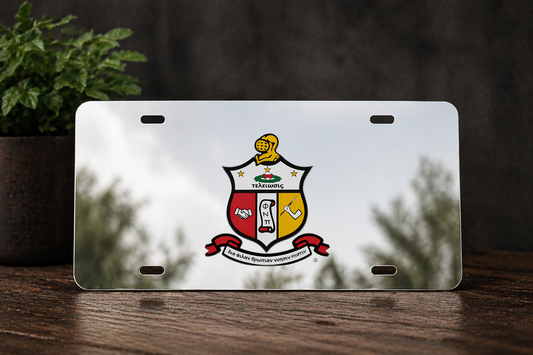 Silver Mirror Acrylic License Plate